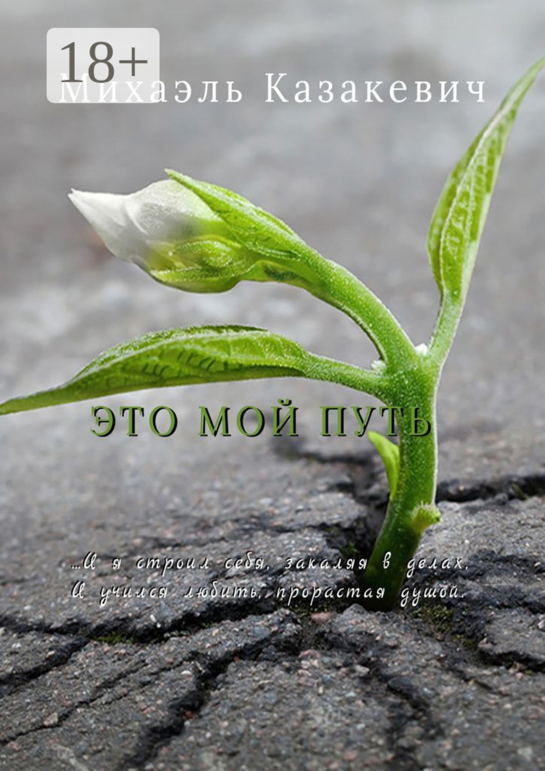 Обложка книги «Это мой путь»