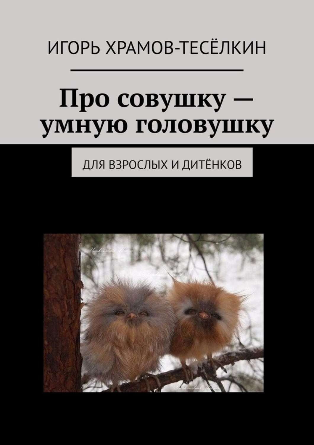 Обложка книги «Про совушку – умную головушку. Для взрослых и дитёнков»