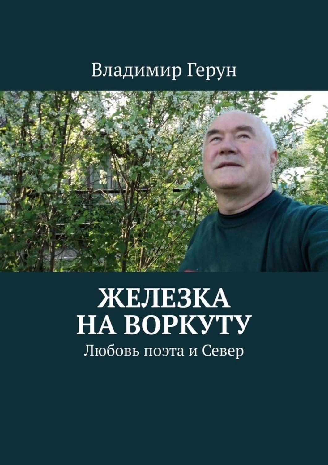 Обложка книги «Железка на Воркуту. Любовь поэта и Север»