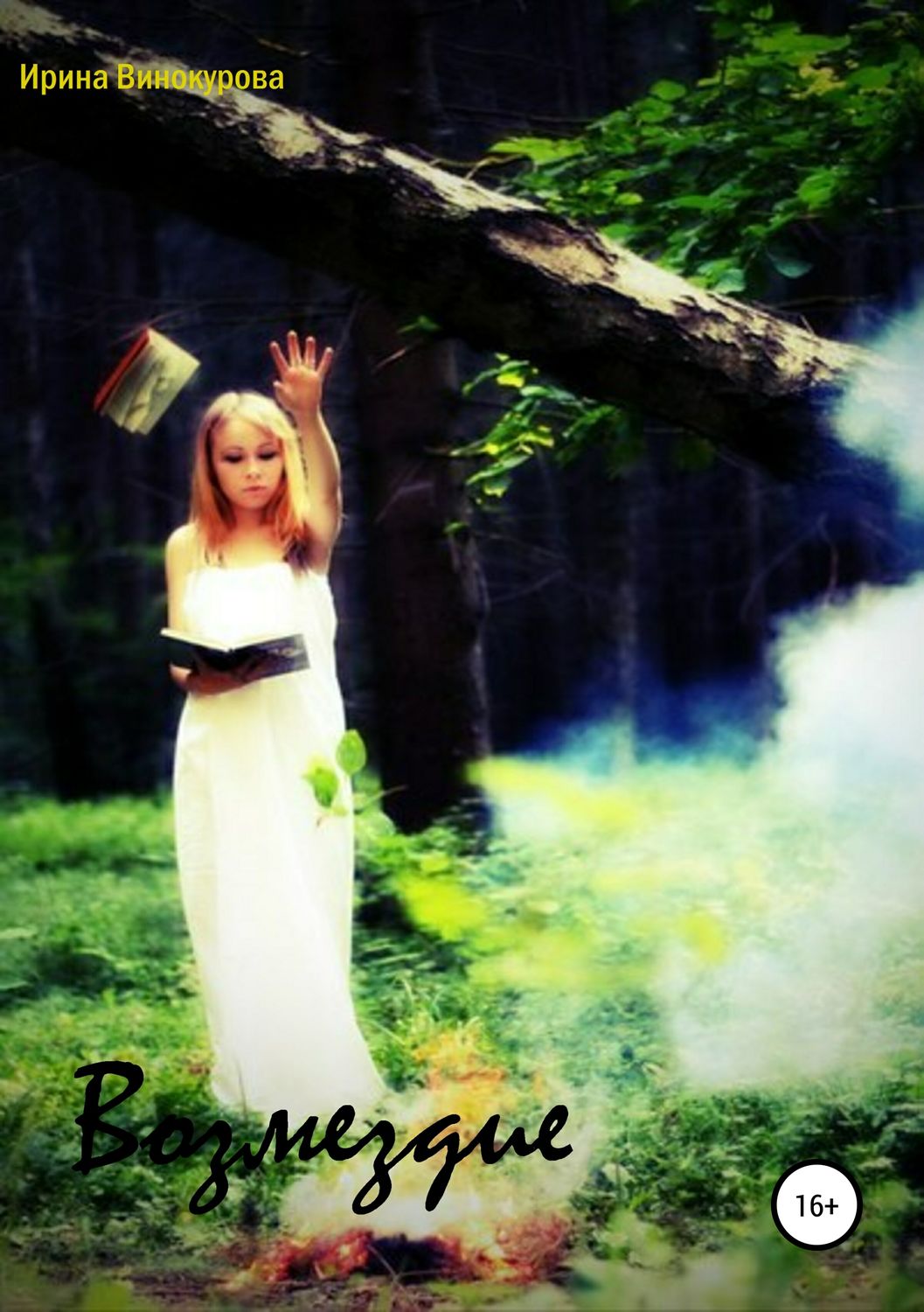 Обложка книги «Возмездие»