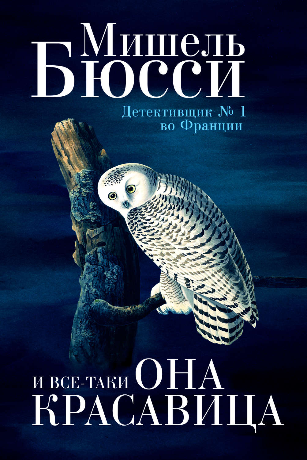 Обложка книги «И все-таки она красавица»