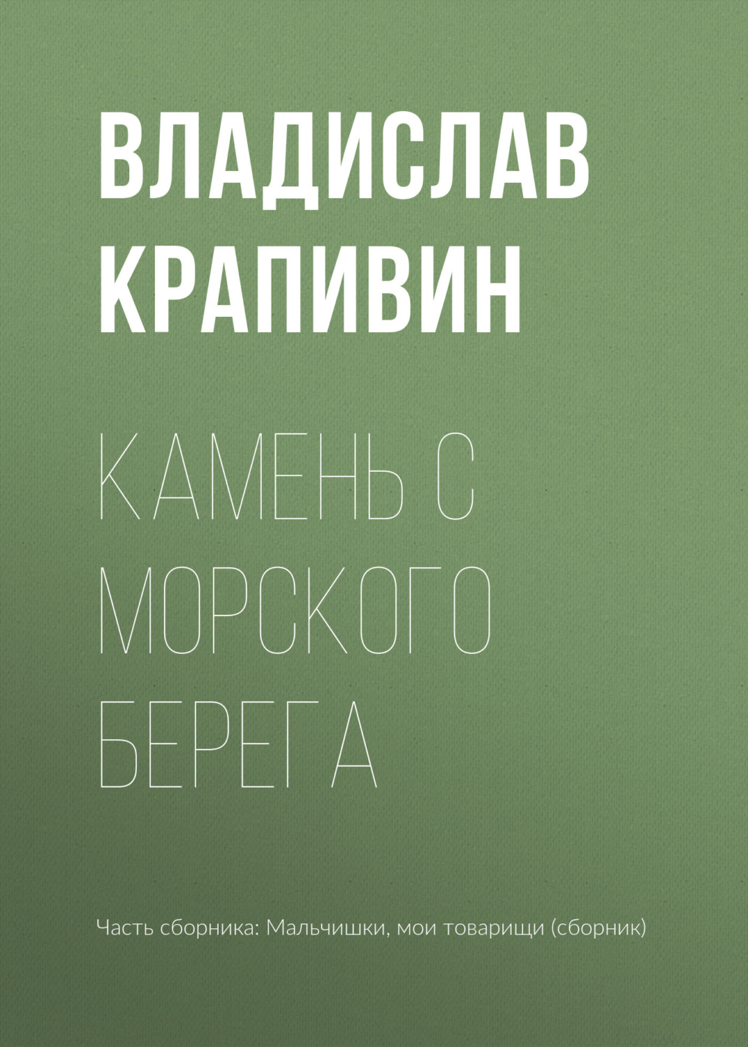 Обложка книги «Камень с морского берега»