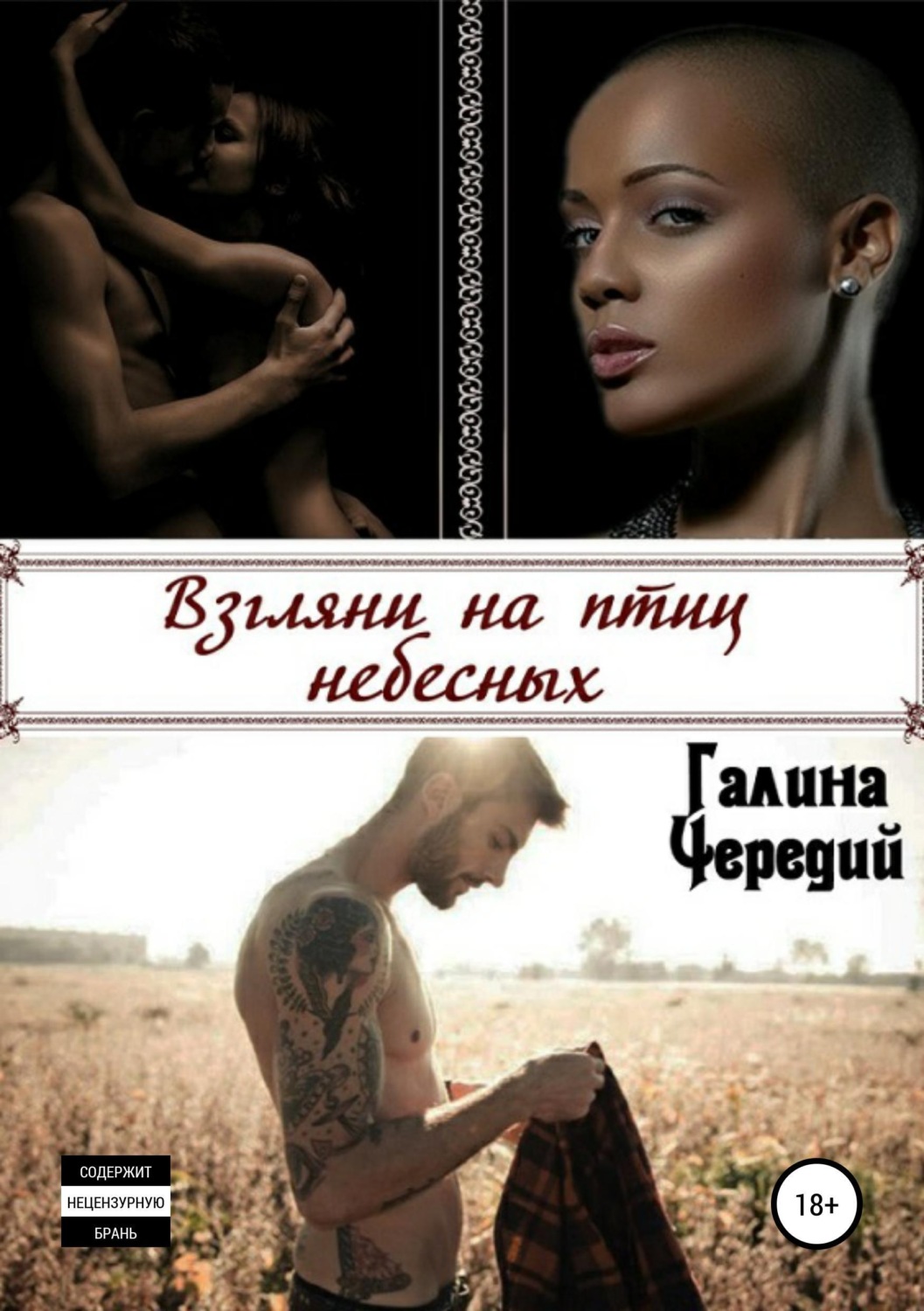 Обложка книги «Взгляни на птиц небесных»