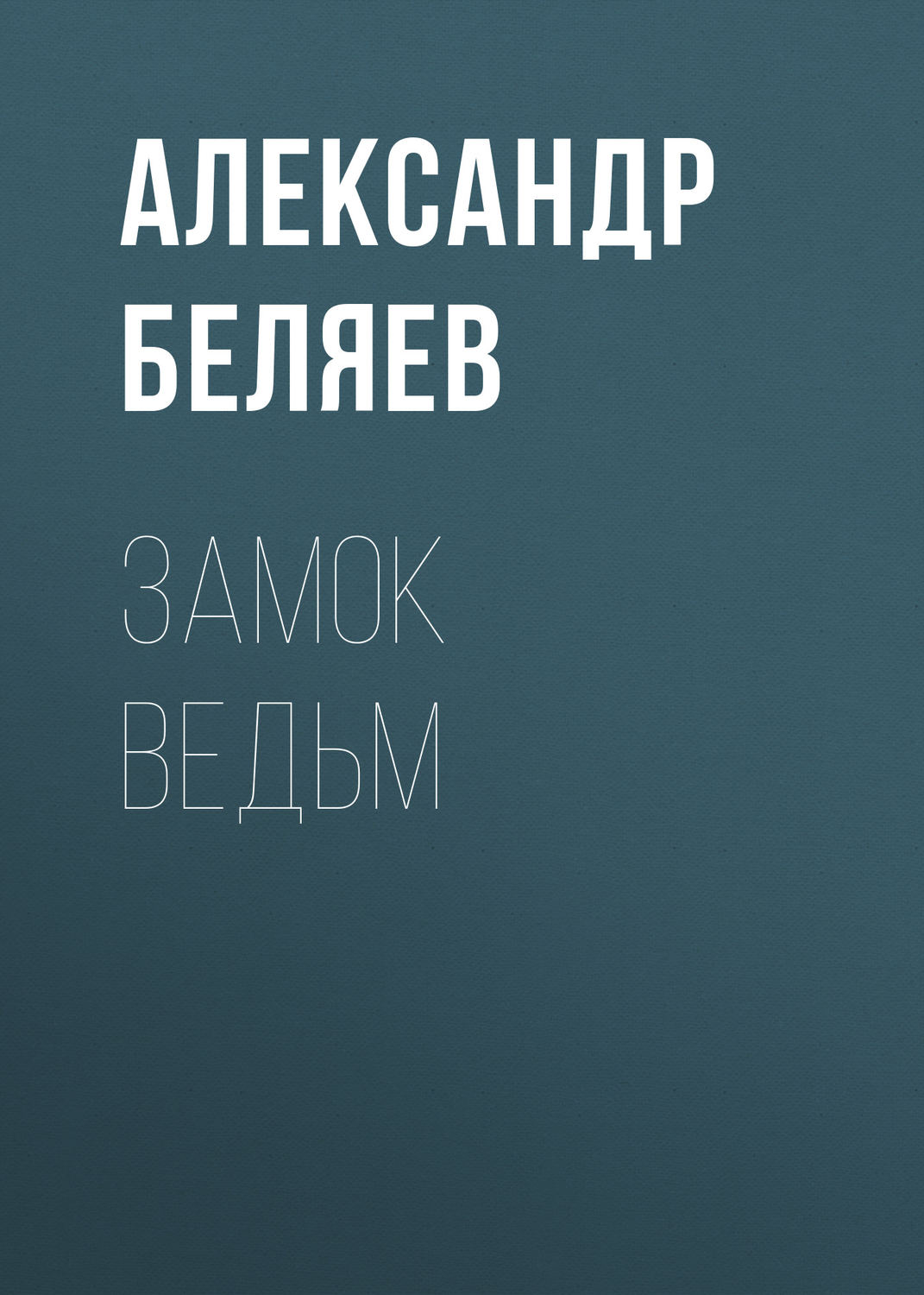 Обложка книги «Замок ведьм»