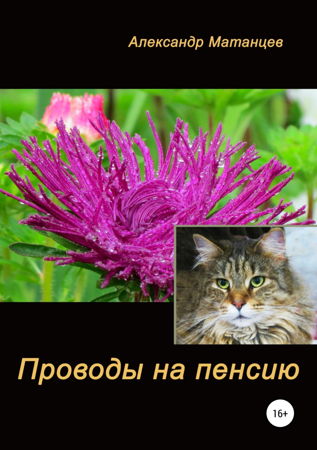 Обложка книги «Проводы на пенсию»