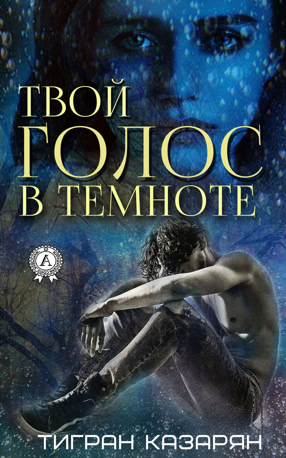 Обложка книги «Твой голос в темноте»