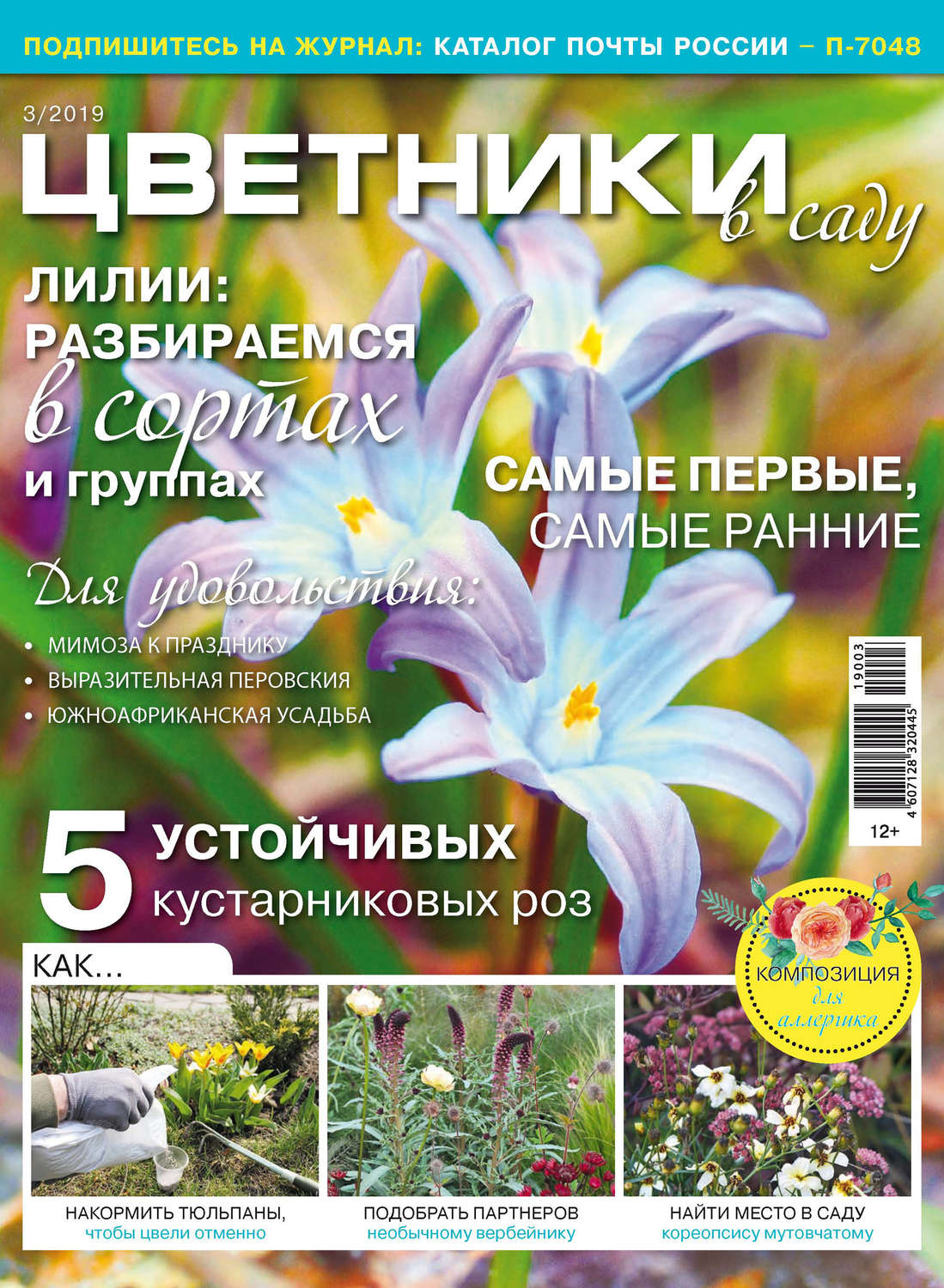 Обложка книги «Цветники в саду №03/2019»