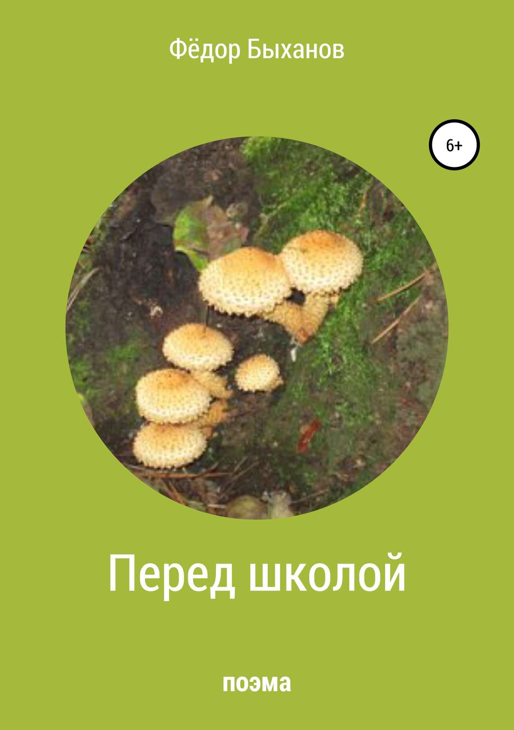 Обложка книги «Перед школой»