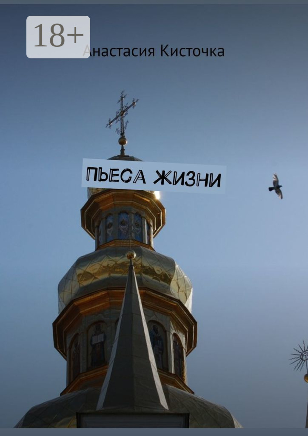 Обложка книги «Пьеса жизни»