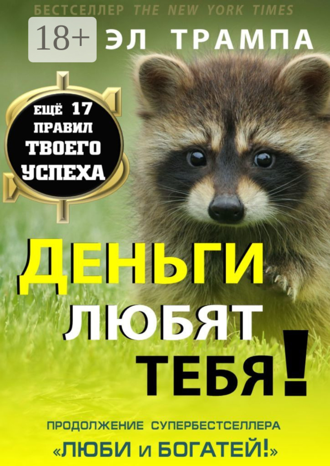 Обложка книги «Деньги любят тебя!»