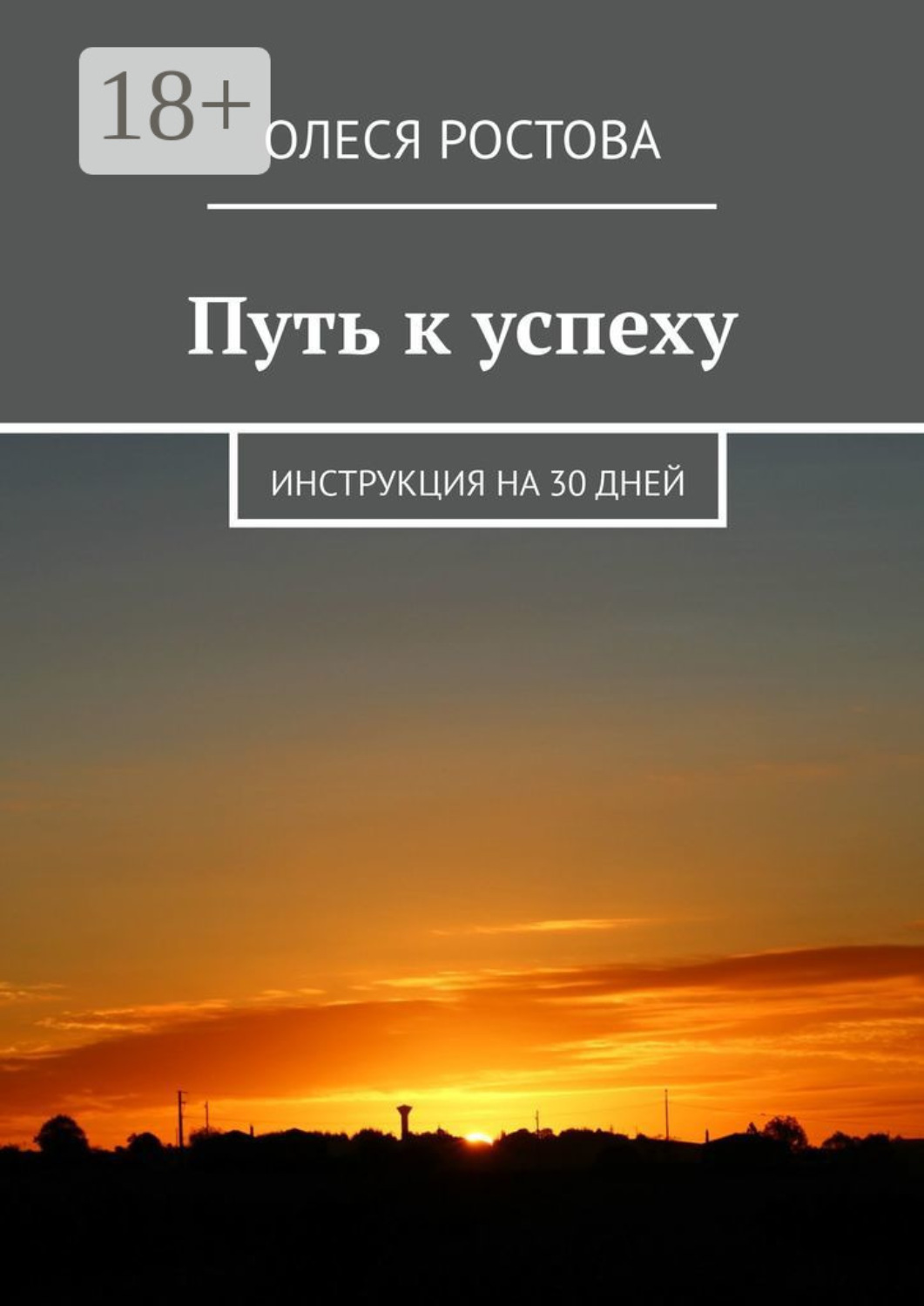 Обложка книги «Путь к успеху. Инструкция на 30 дней»