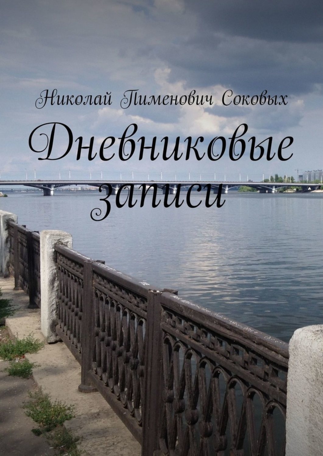 Обложка книги «Дневниковые записи»