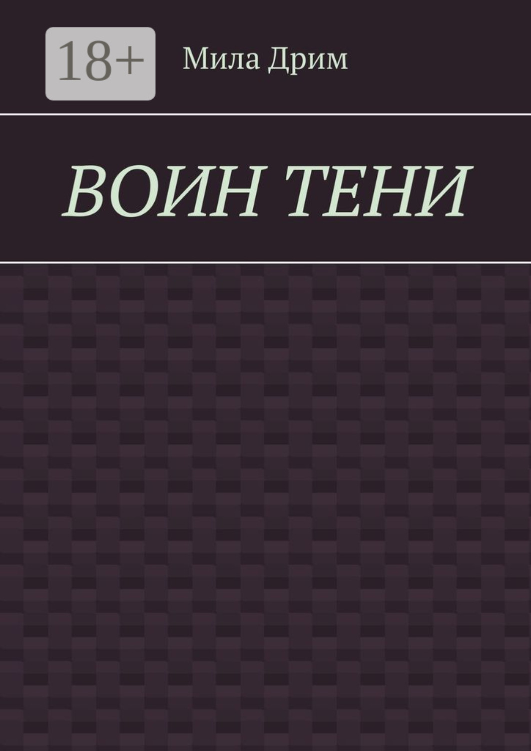 Обложка книги «Воин тени»