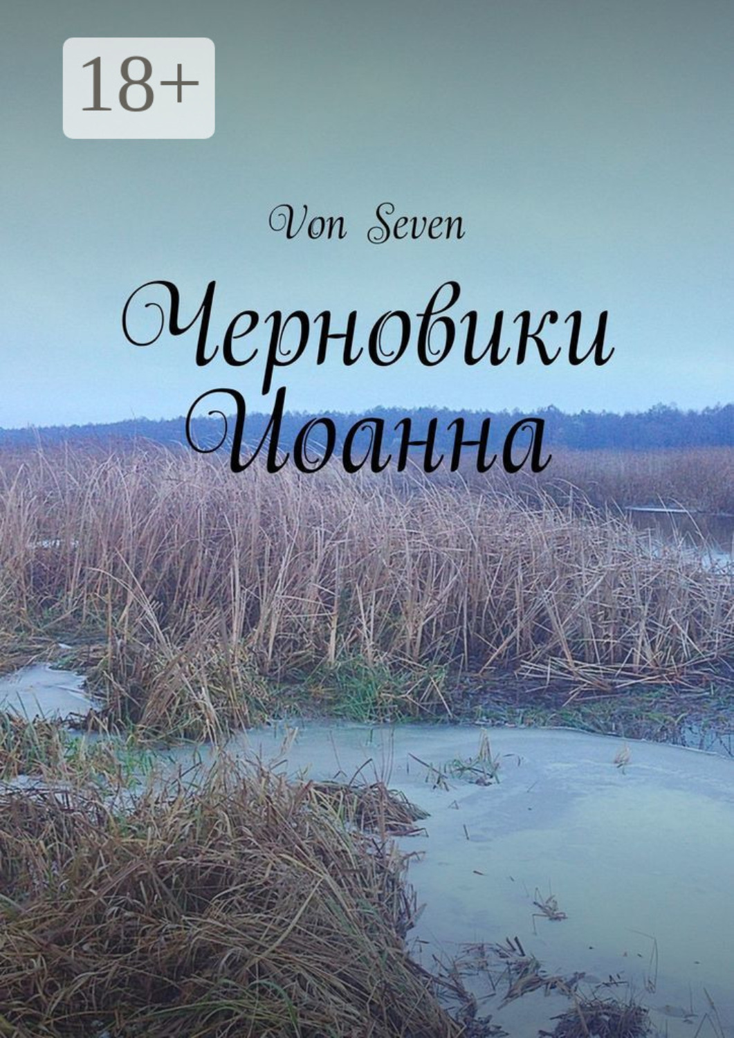 Обложка книги «Черновики Иоанна»