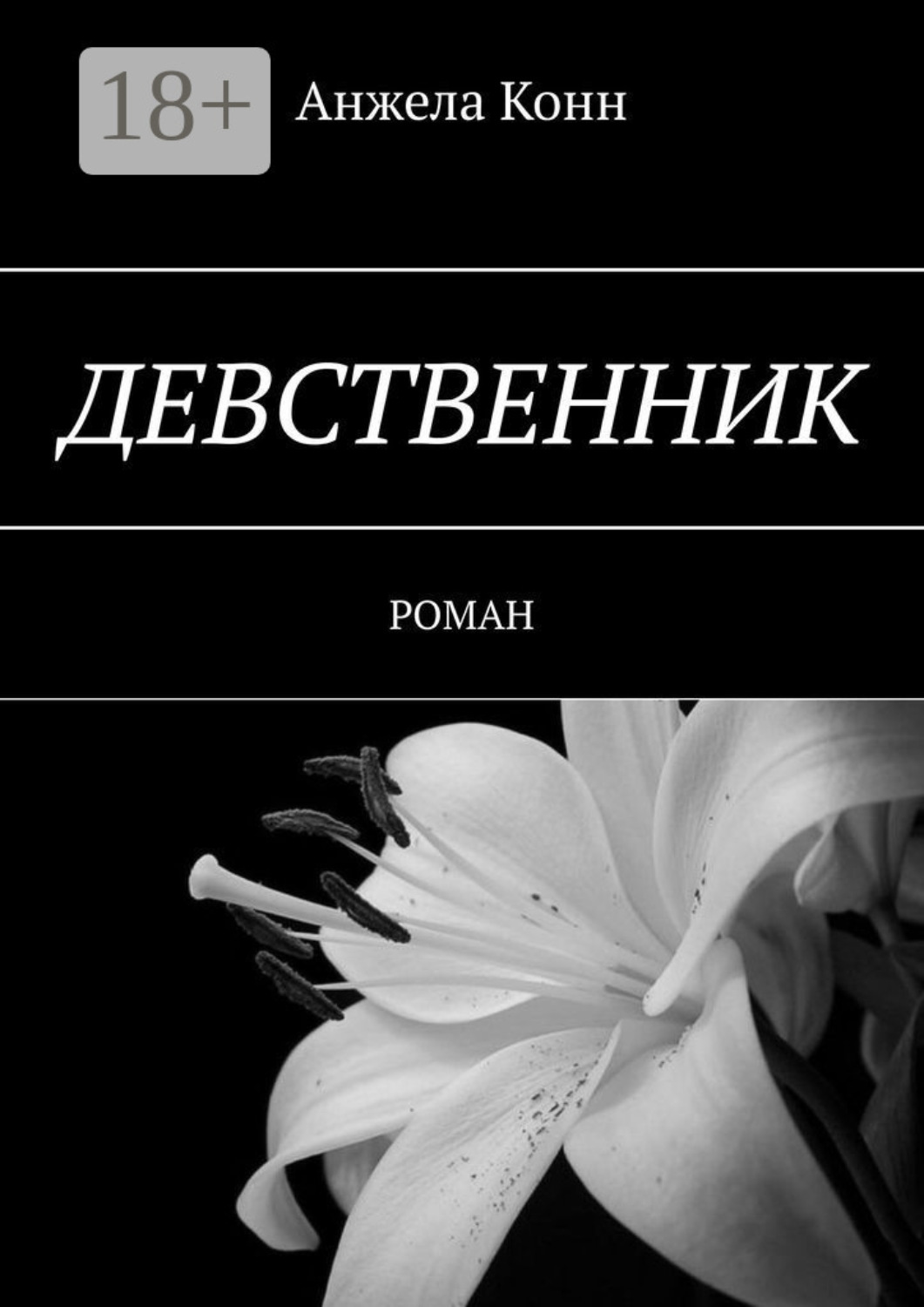 Обложка книги «Девственник. Роман»