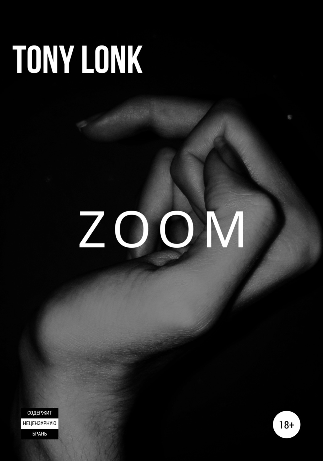 Обложка книги «ZOOM»