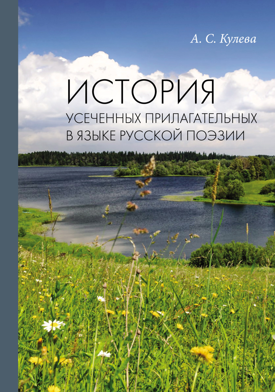 Обложка книги «История усеченных прилагательных в языке русской поэзии»