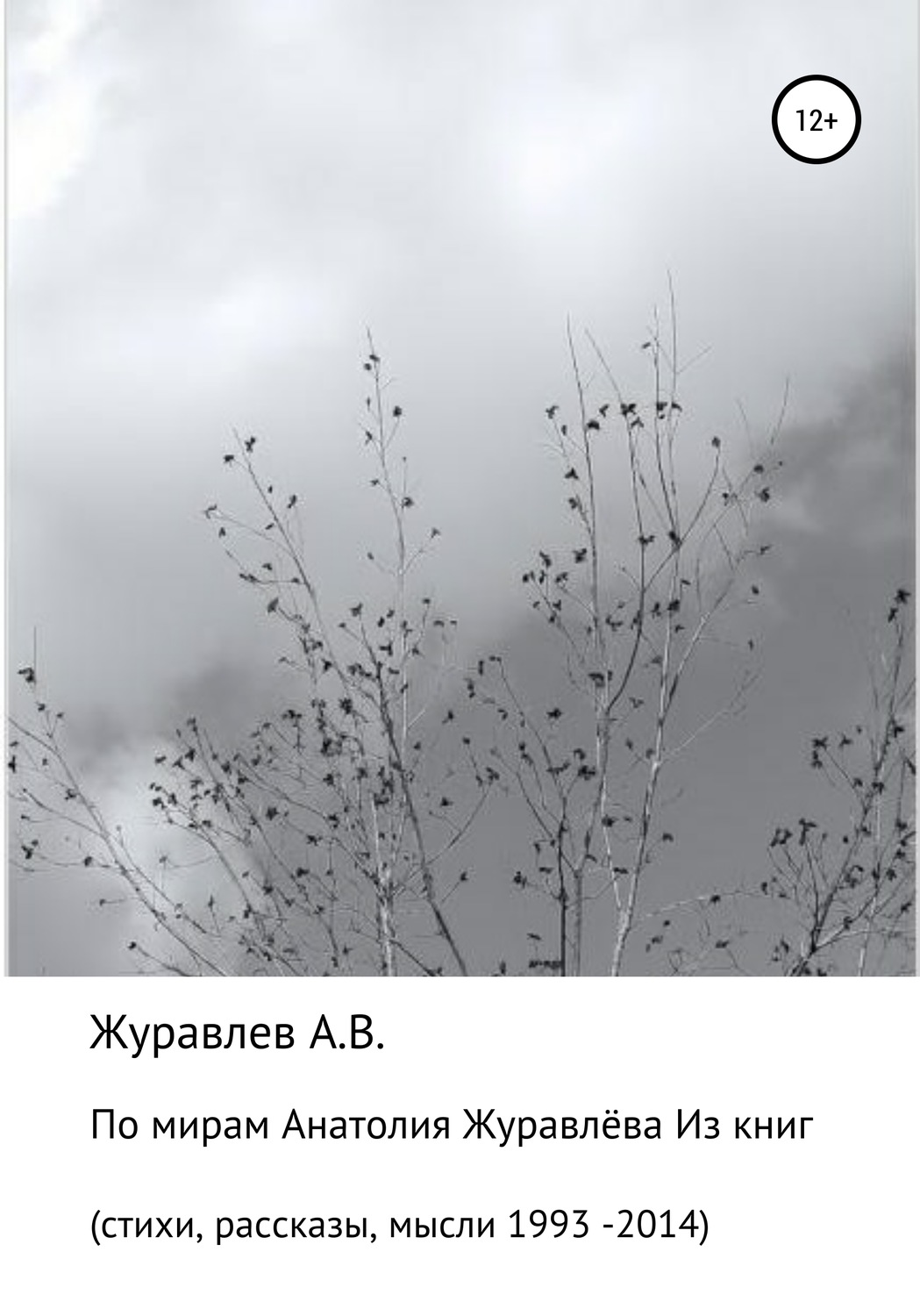 Обложка книги «По мирам Анатолия Журавлева»