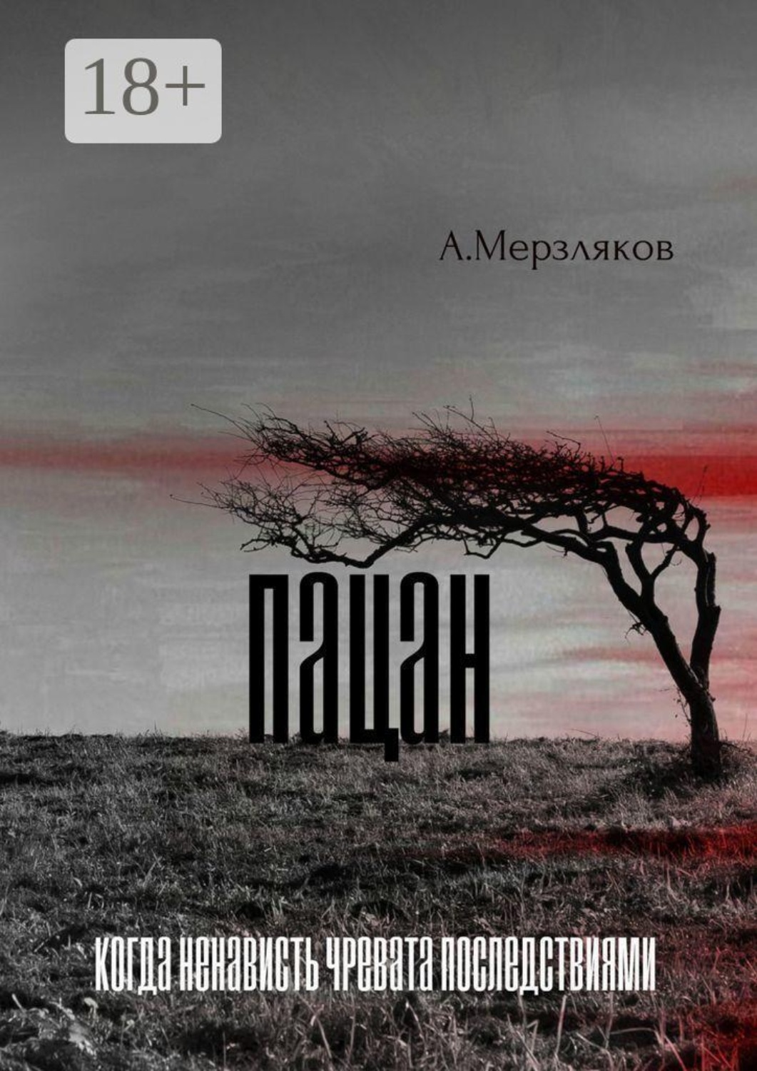 Обложка книги «Пацан»