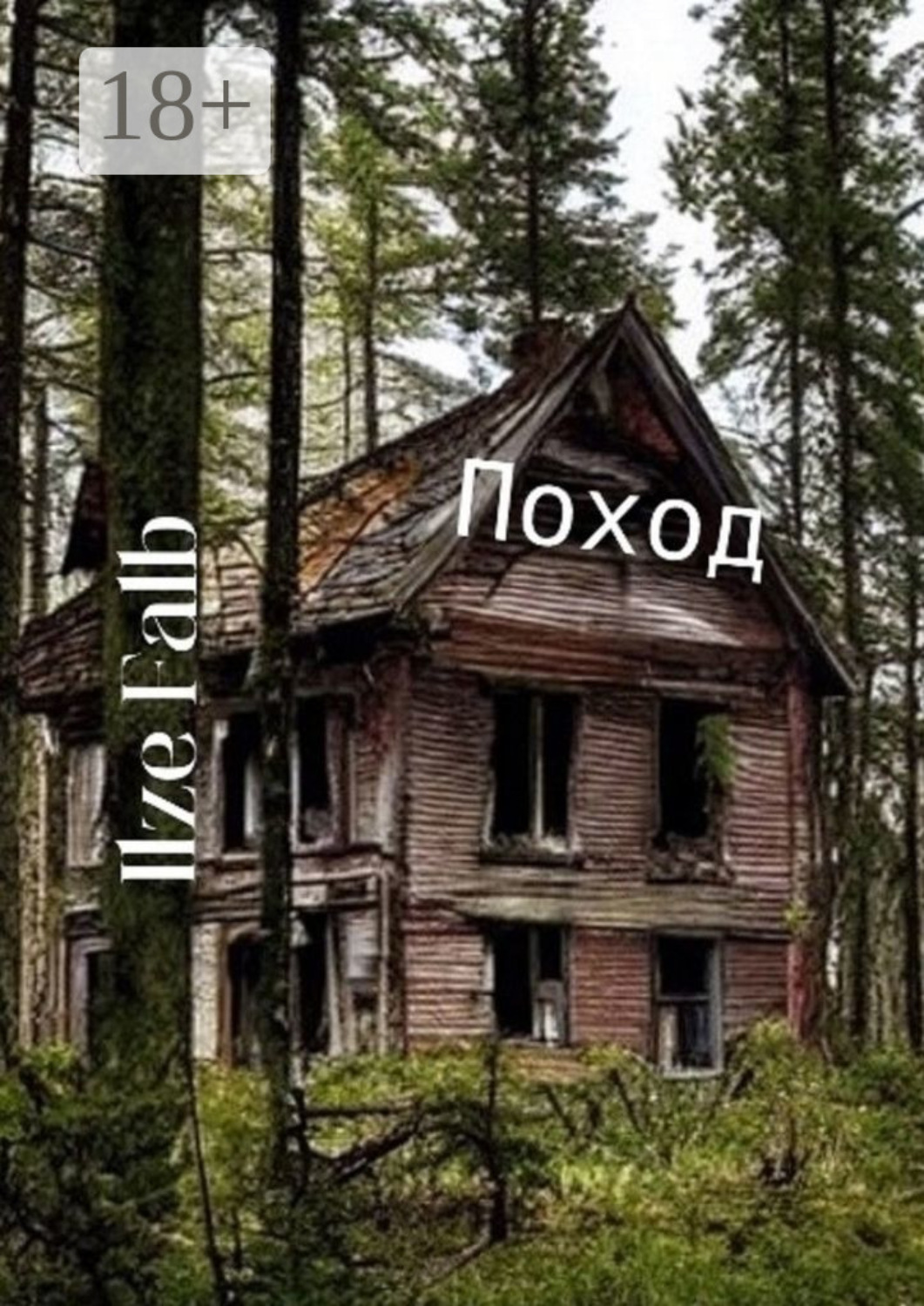 Обложка книги «Поход»