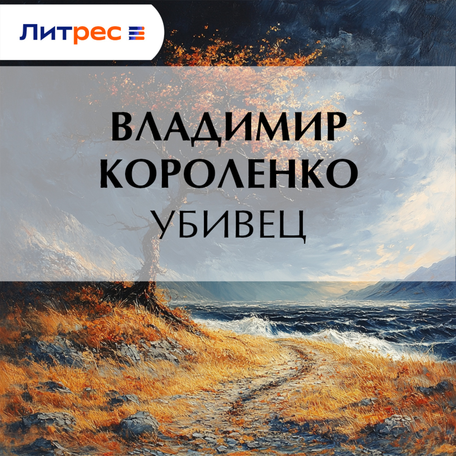 Обложка книги «Убивец»