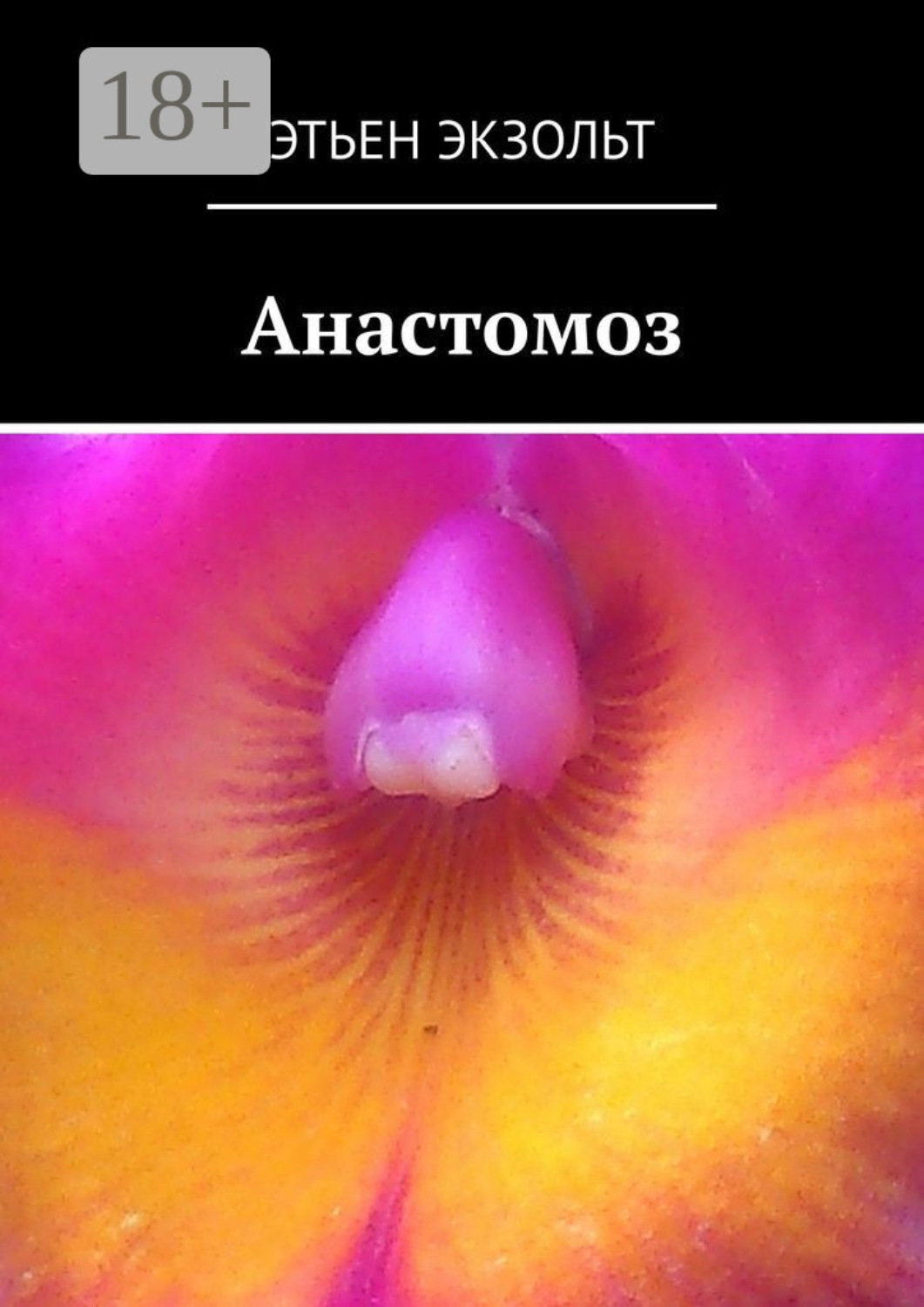 Обложка книги «Анастомоз»
