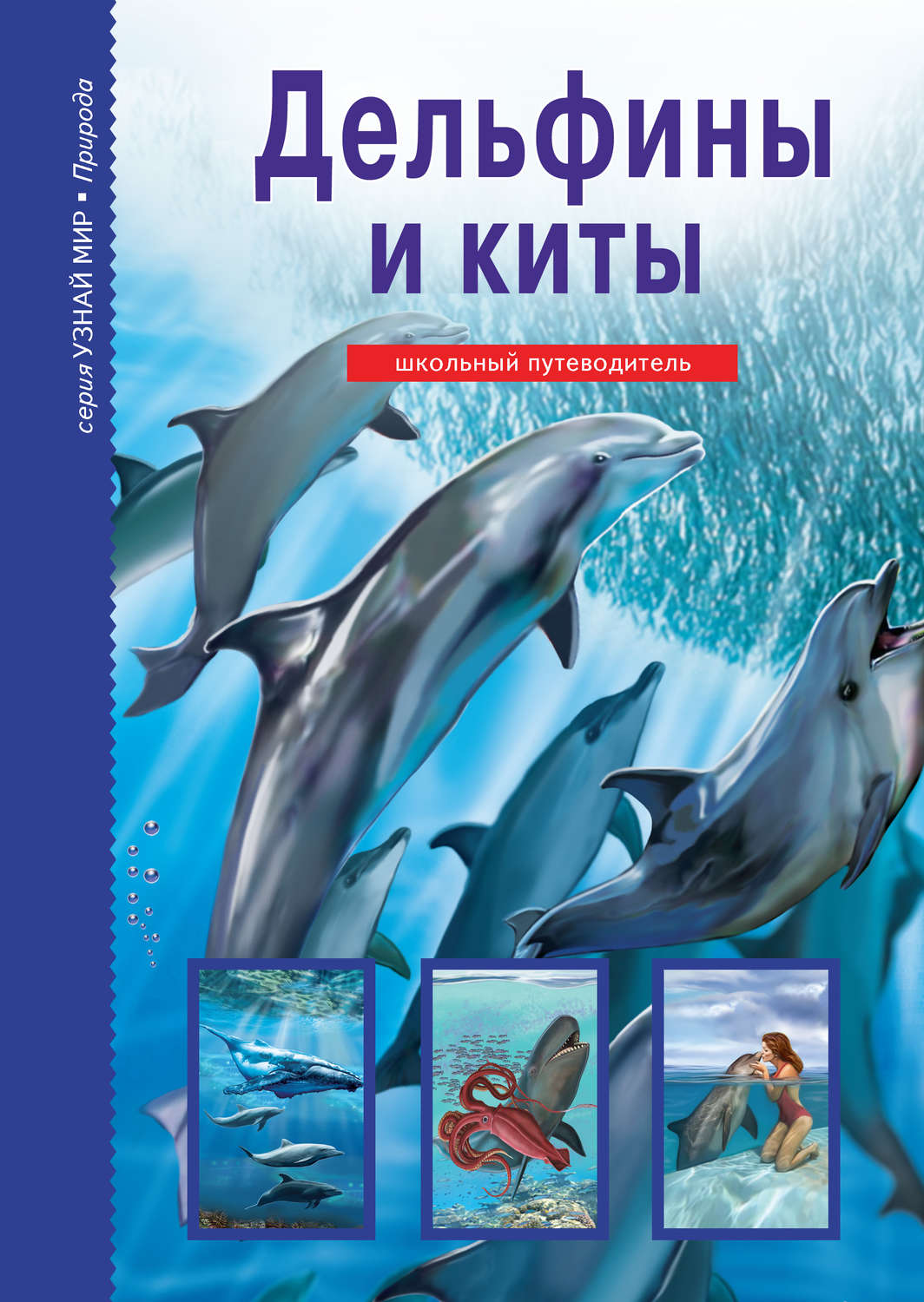 Обложка книги «Дельфины и киты»