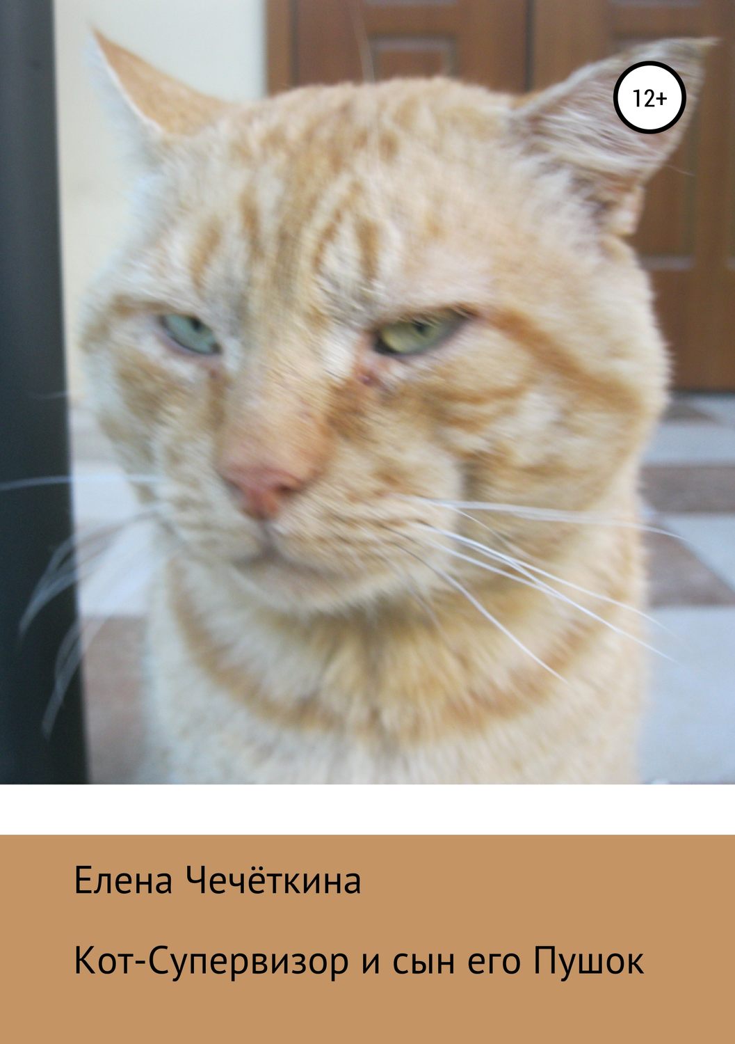 Обложка книги «Кот-Супервизор и сын его Пушок»