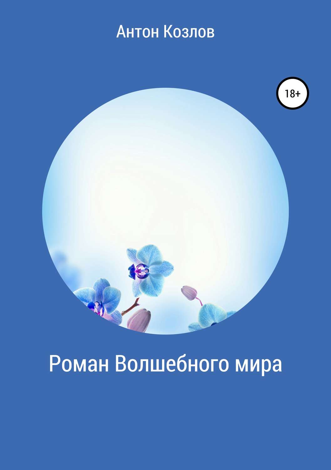 Обложка книги «Роман Волшебного мира»