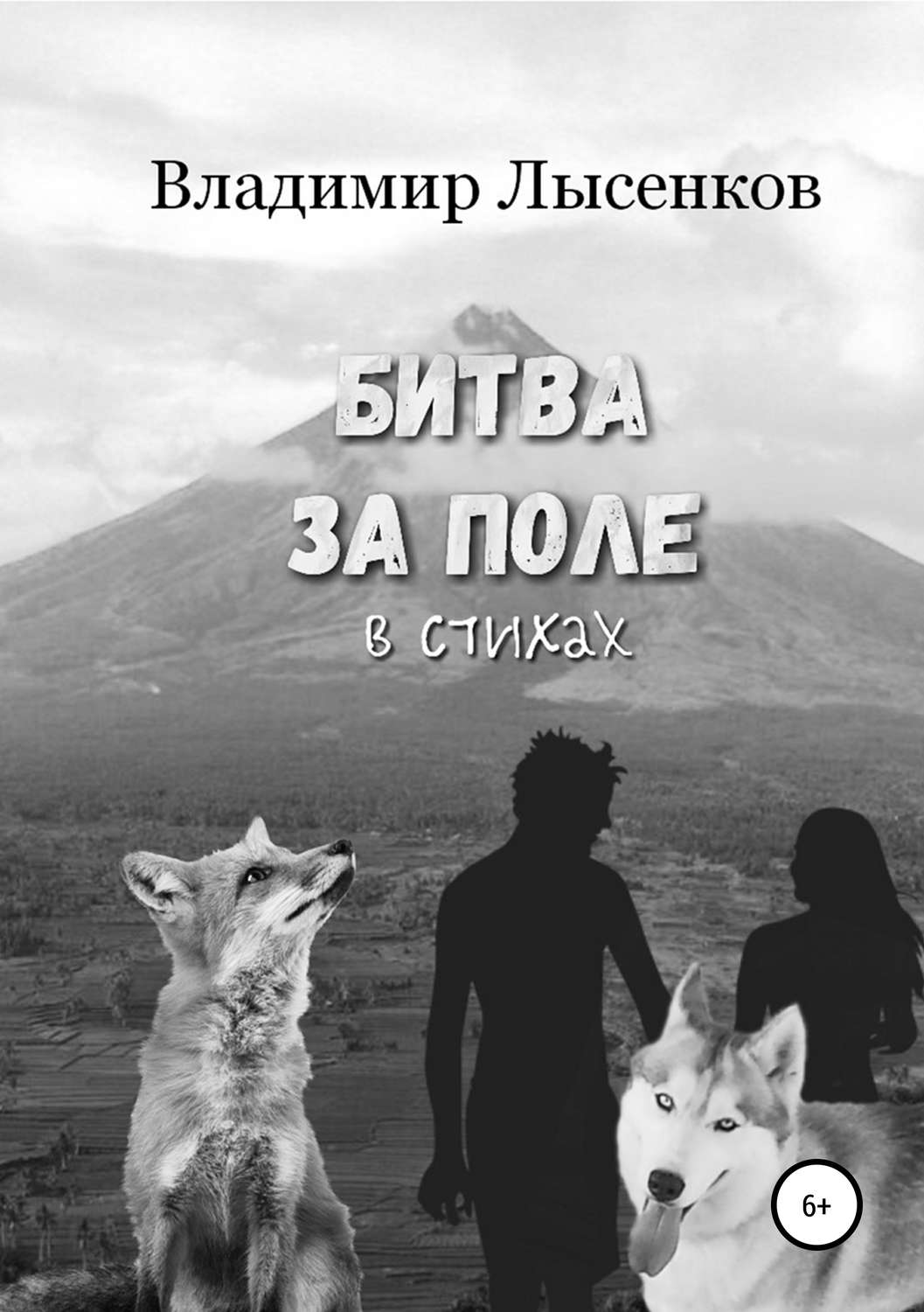Обложка книги «Битва за поле в стихах»