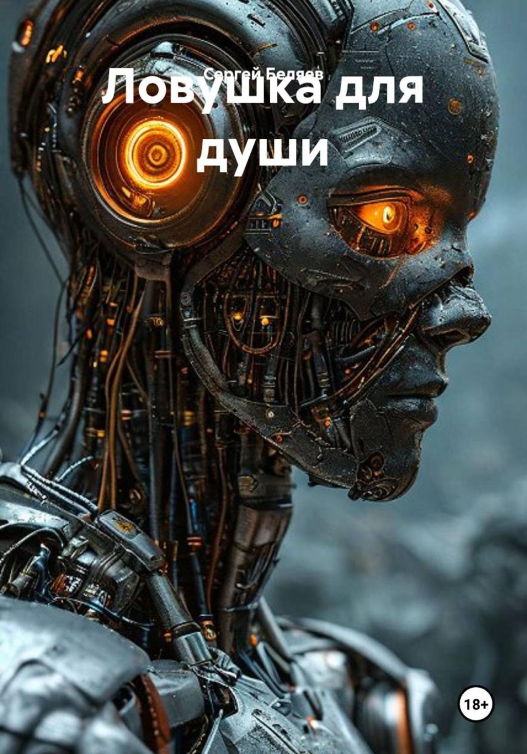 Обложка книги «Ловушка для души»