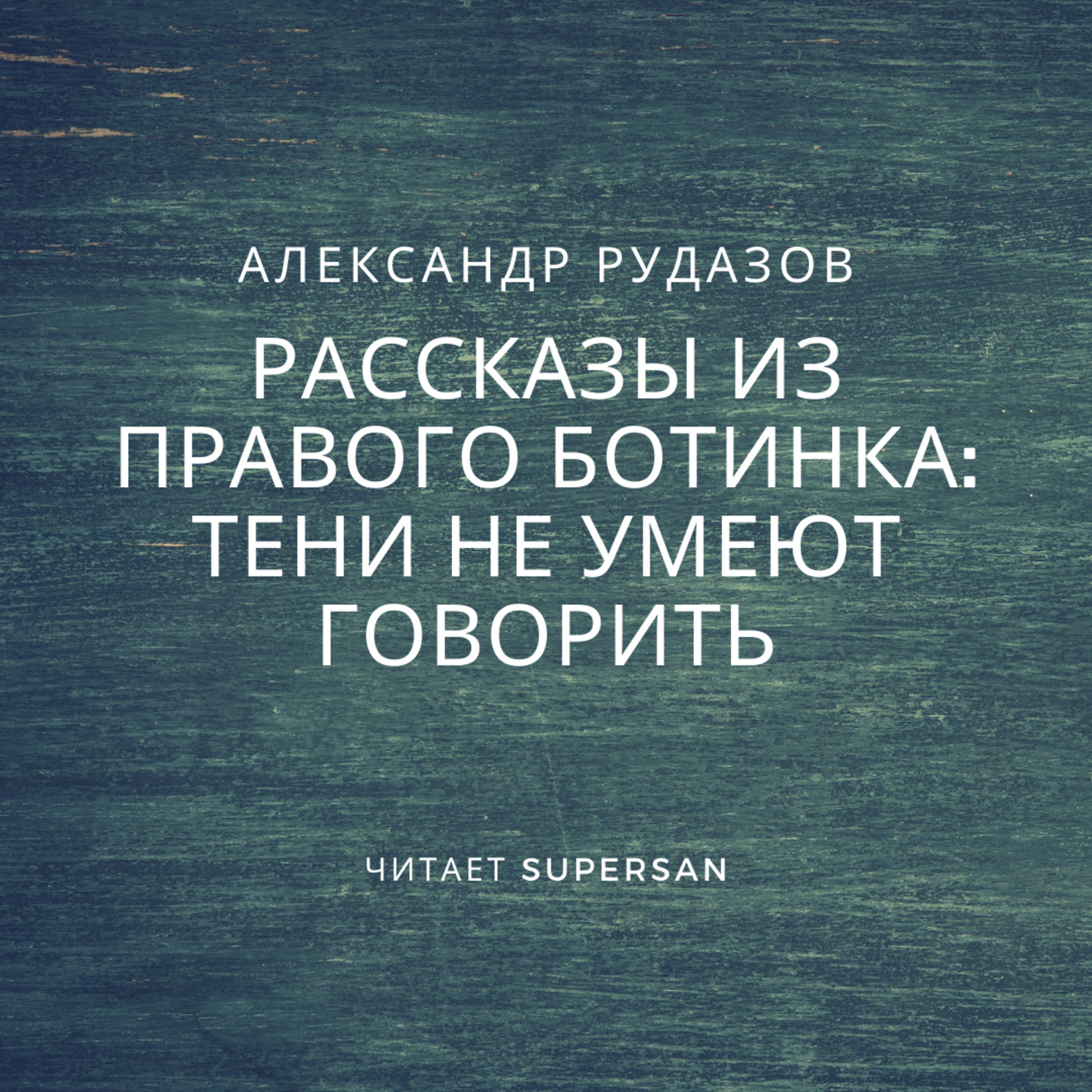 Обложка книги «Тени не умеют говорить»