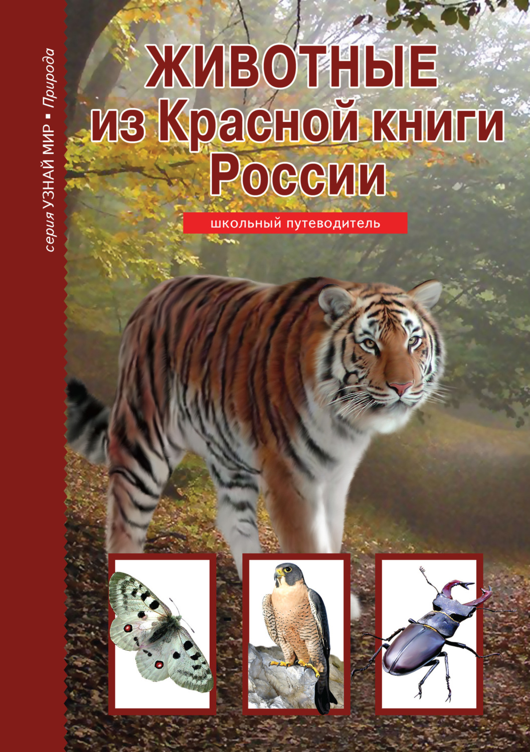 Обложка книги «Животные из Красной книги России»