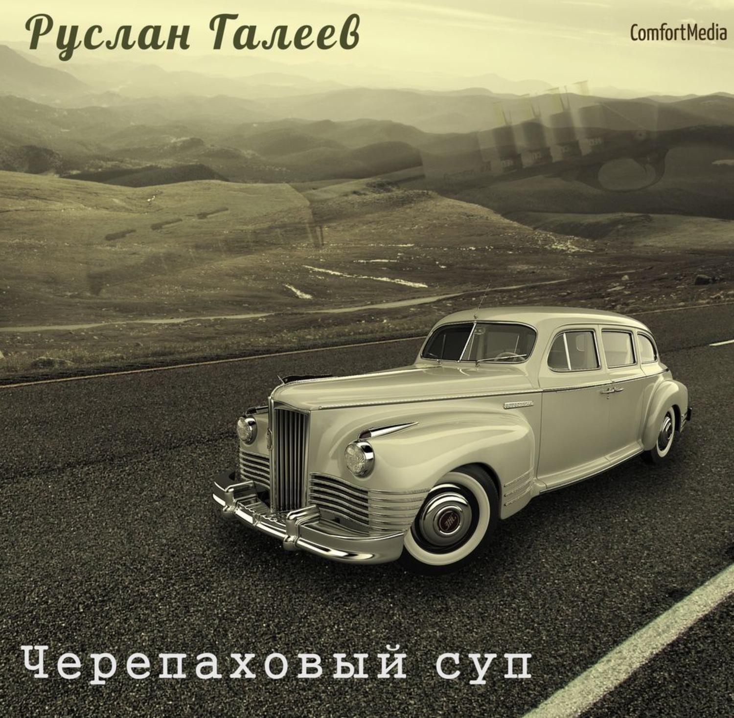 Обложка книги «Черепаховый суп»