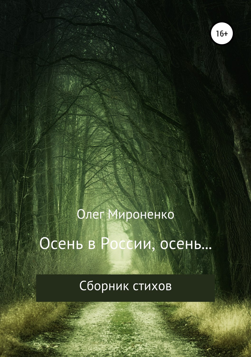 Обложка книги «Осень в России, осень… Сборник стихов»
