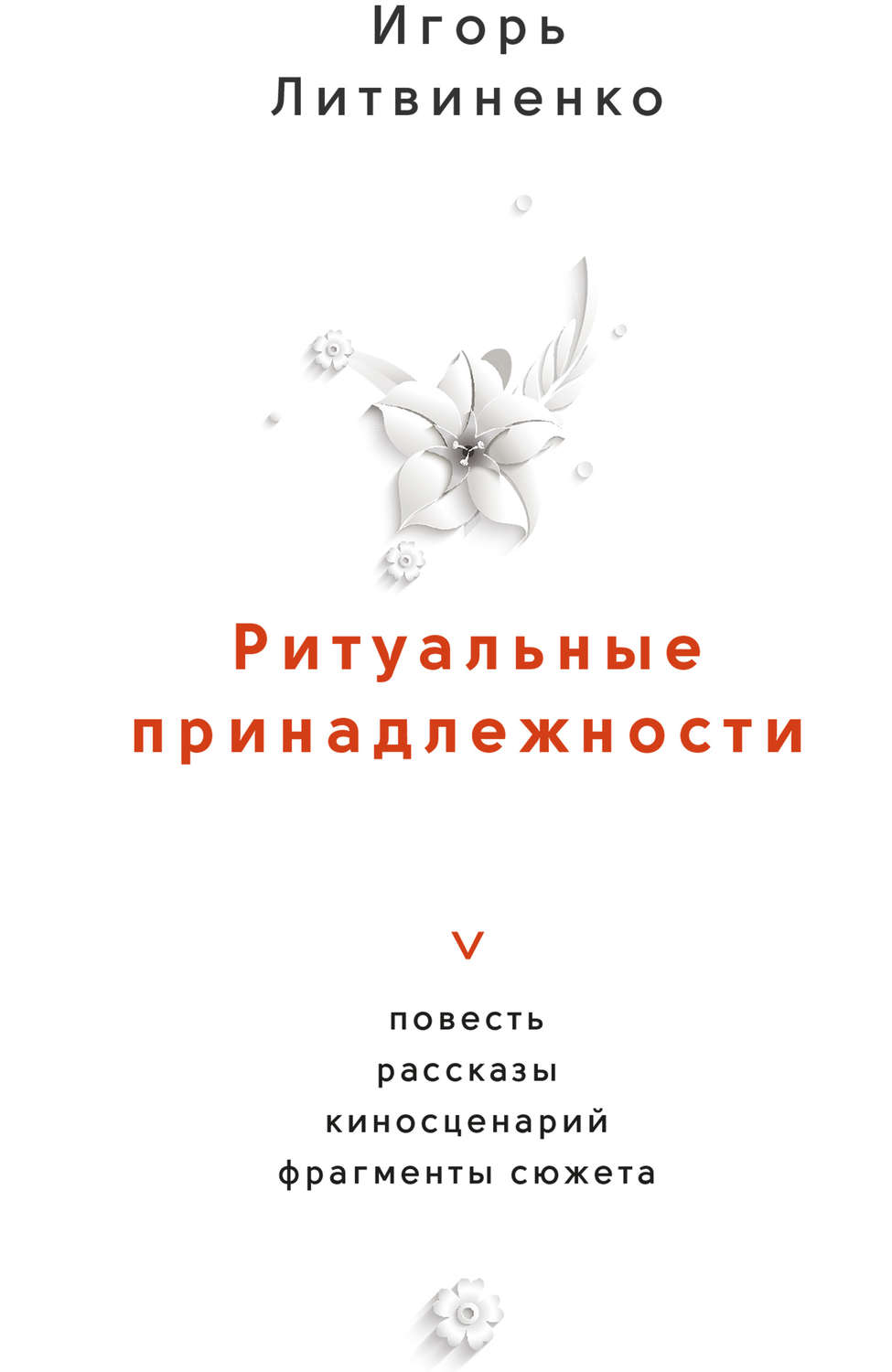 Обложка книги «Ритуальные принадлежности»