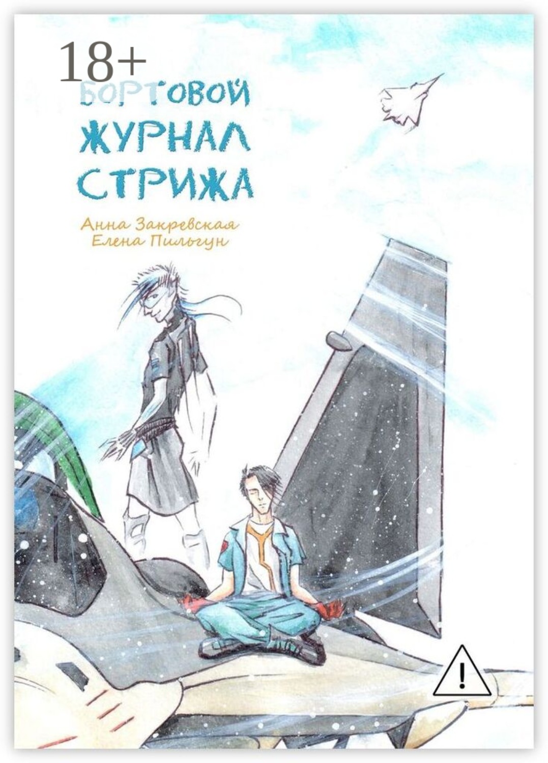 Обложка книги «Бортовой журнал Стрижа»