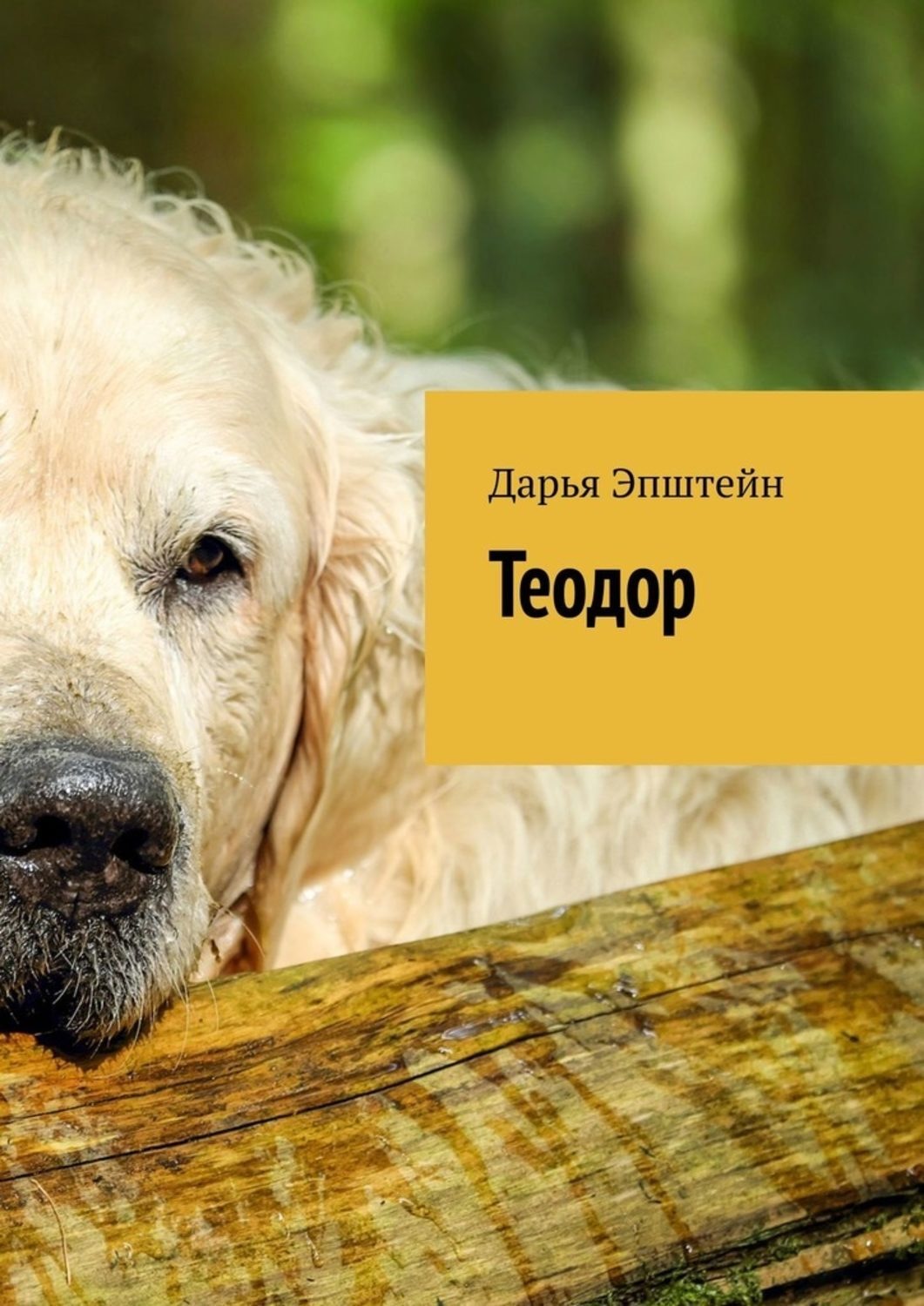 Обложка книги «Теодор»