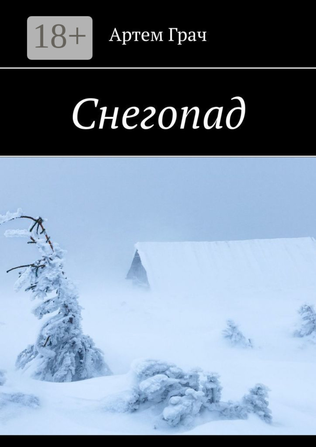 Обложка книги «Снегопад»
