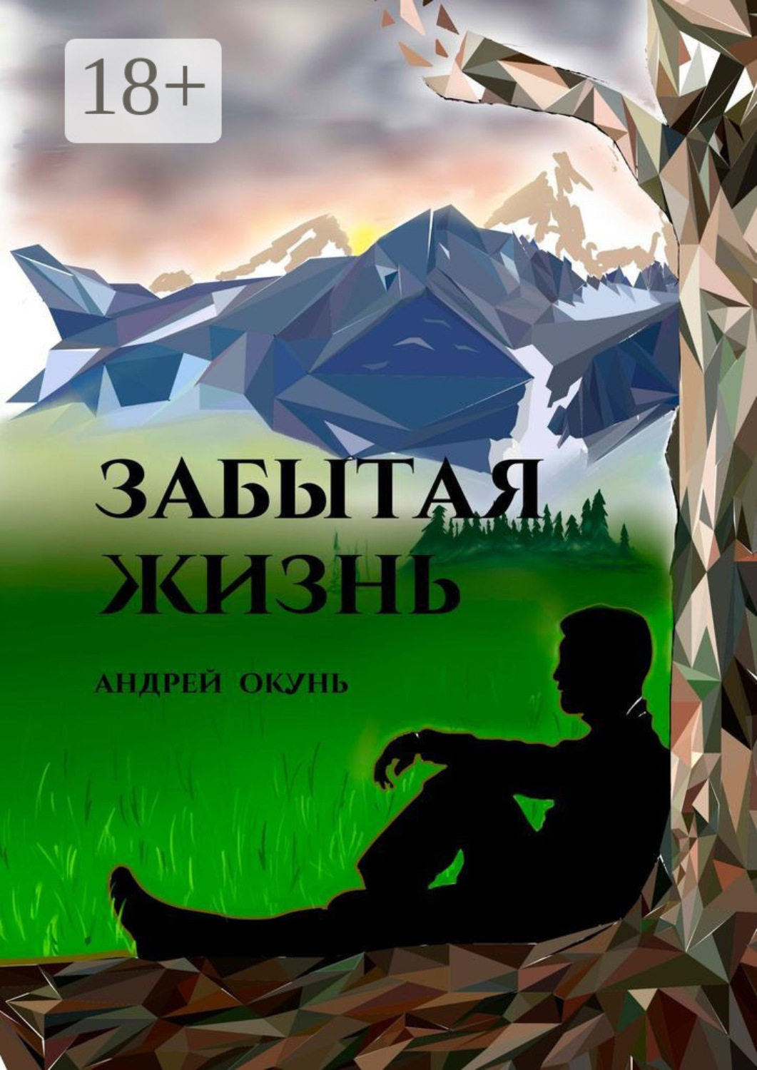 Обложка книги «Забытая жизнь»