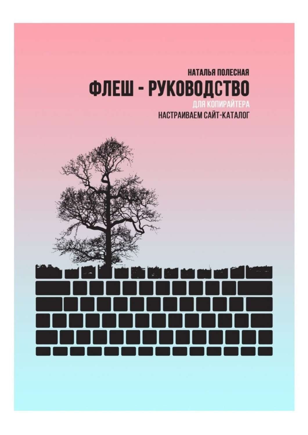 Обложка книги «Флеш-руководство для копирайтера: Настраиваем сайт-каталог»