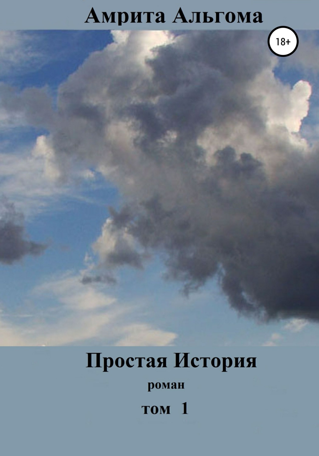 Обложка книги «Простая история»