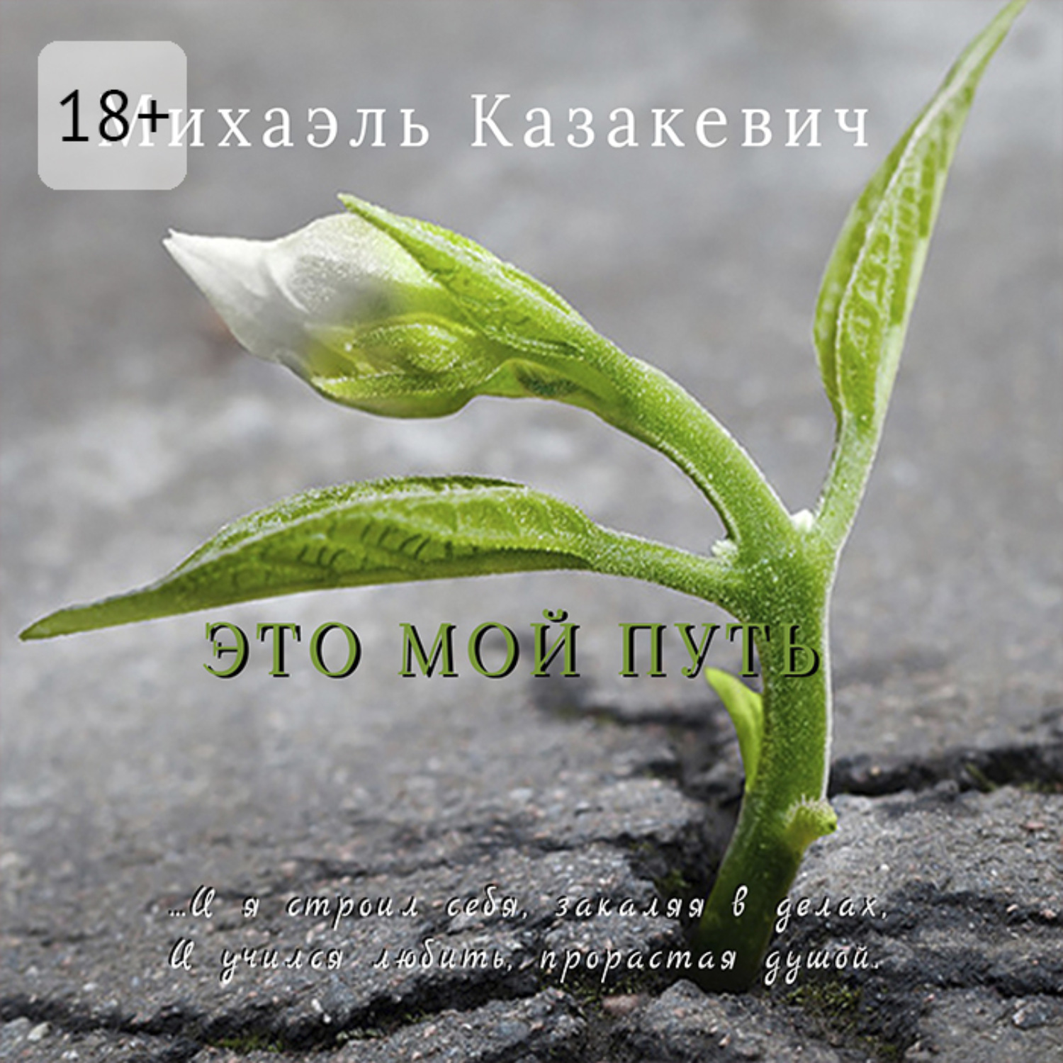 Обложка книги «Это мой путь»