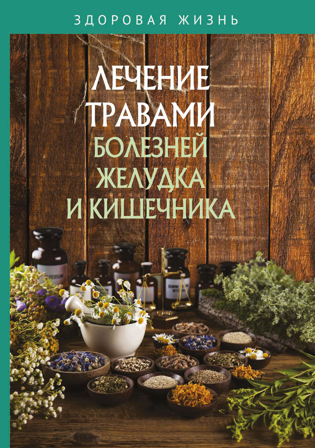 Обложка книги «Лечение травами болезней желудка и кишечника»