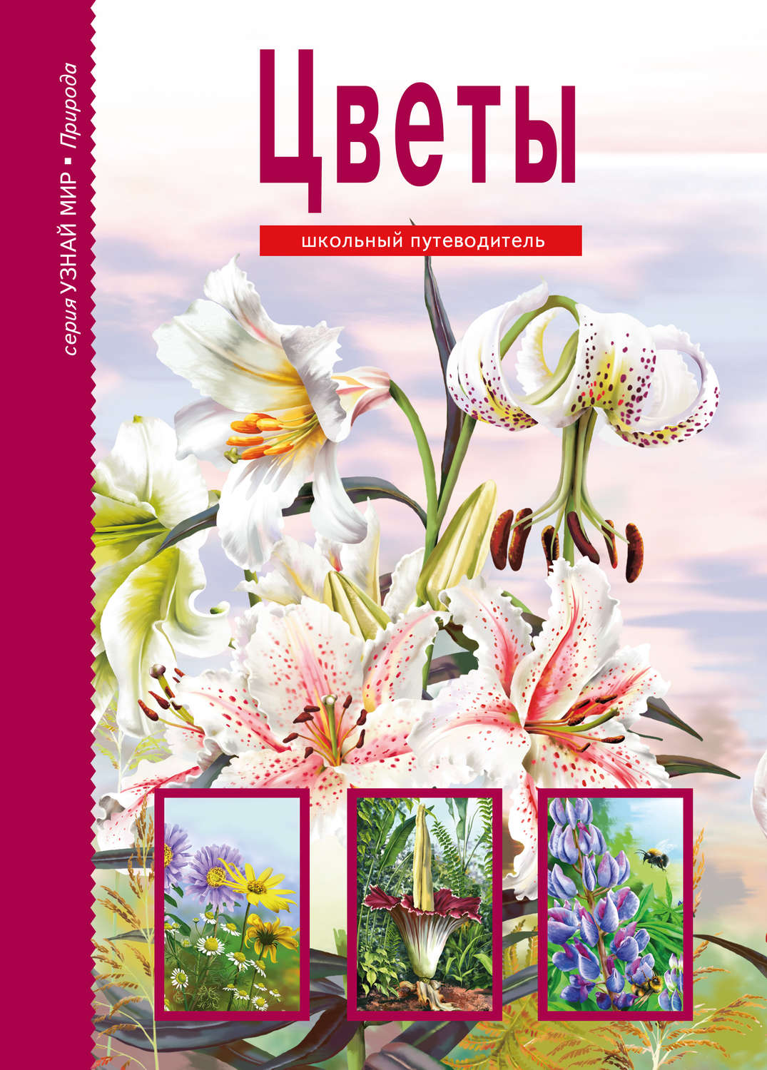 Обложка книги «Цветы»