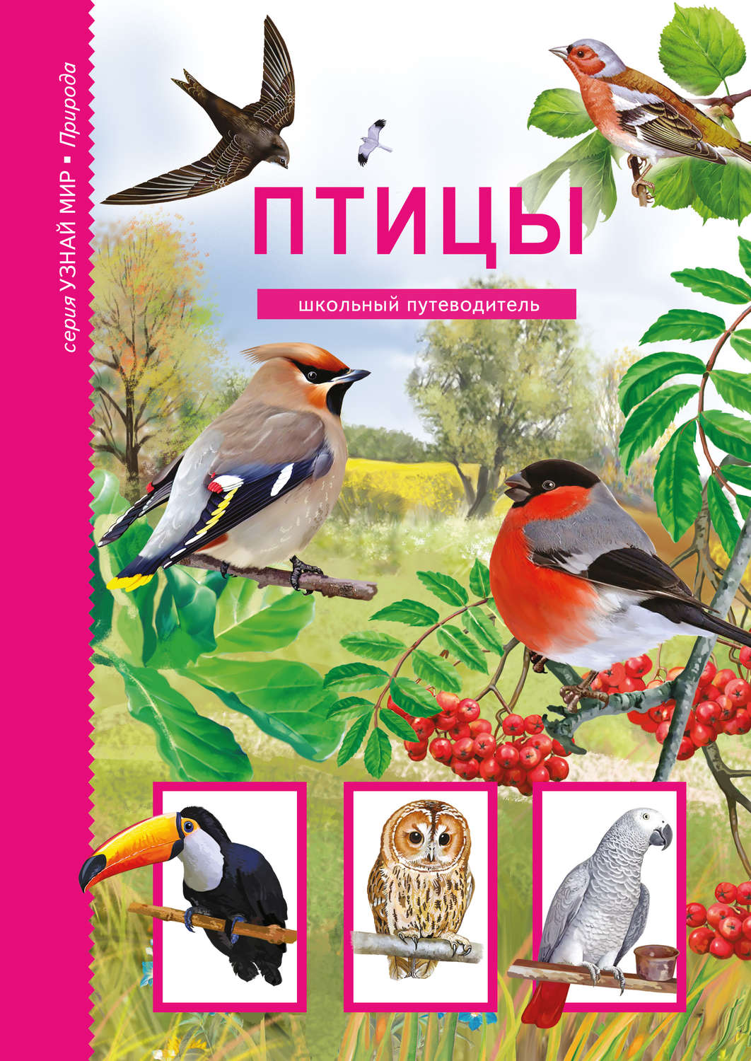 Обложка книги «Птицы»