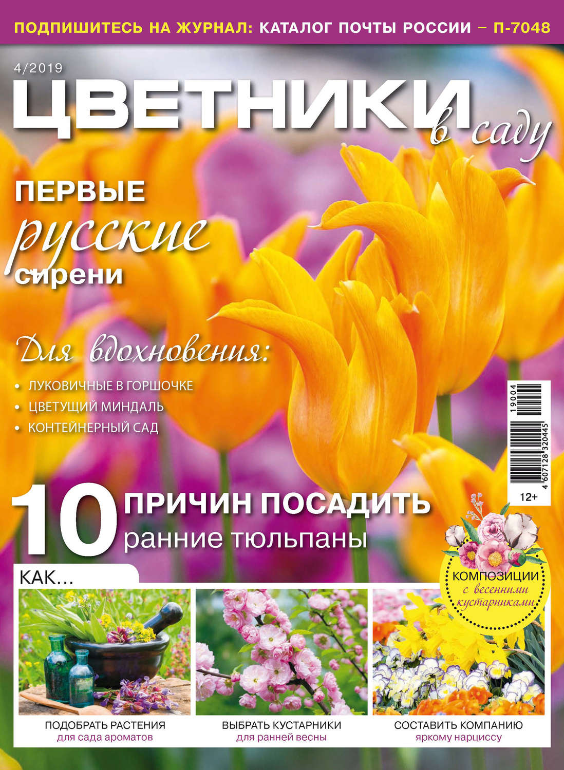 Обложка книги «Цветники в саду №04/2019»