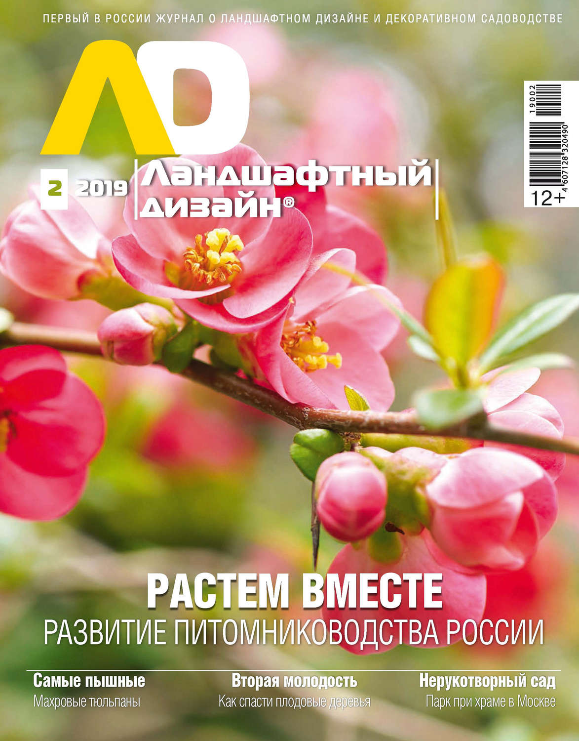 Обложка книги «Ландшафтный дизайн №02/2019»
