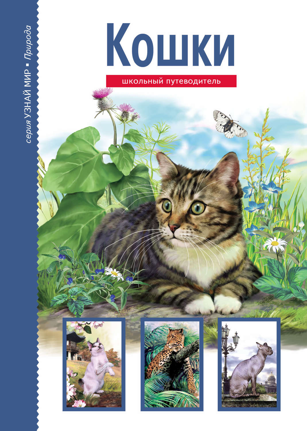 Обложка книги «Кошки»