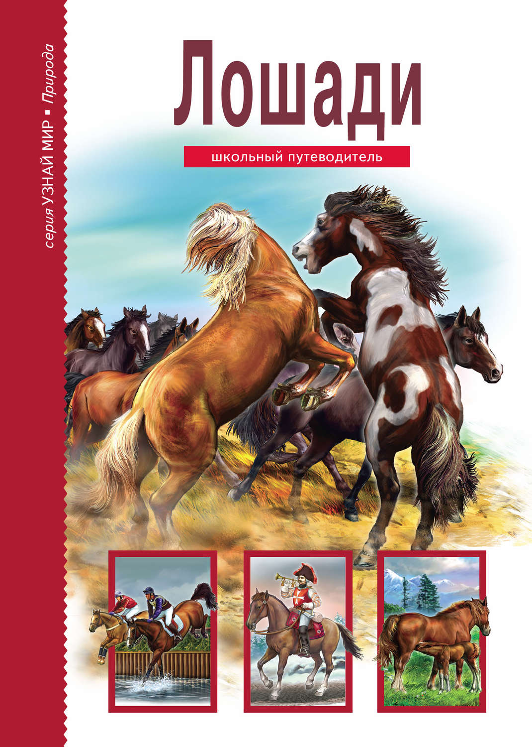 Обложка книги «Лошади»